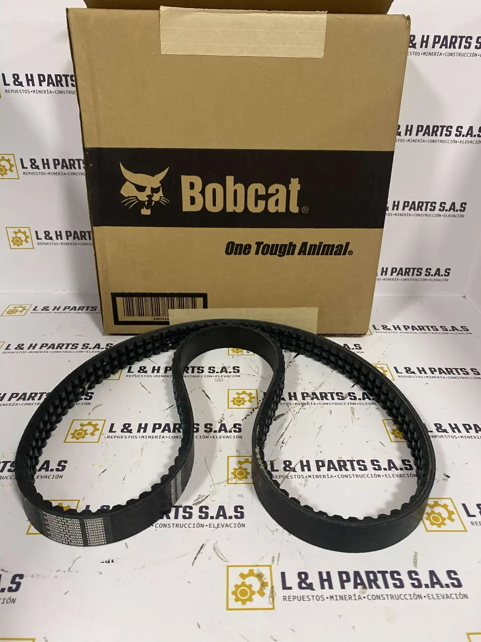 Correa 6660994 bobcat